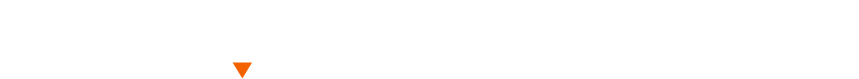 Logo White